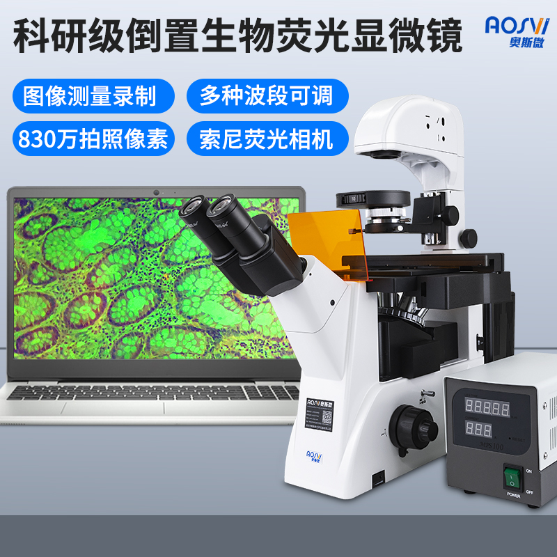 科研級倒置生(shēng)物(wù)熒光顯微鏡 BX22F-3M830F
