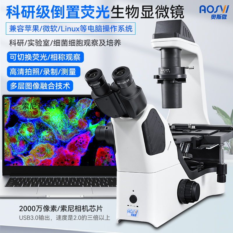 科研級倒置熒光生(shēng)物(wù)顯微鏡  BX60F-3M2000F